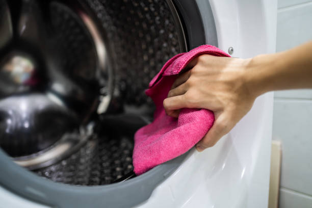 South Zanesville, OH Mold Removal Company