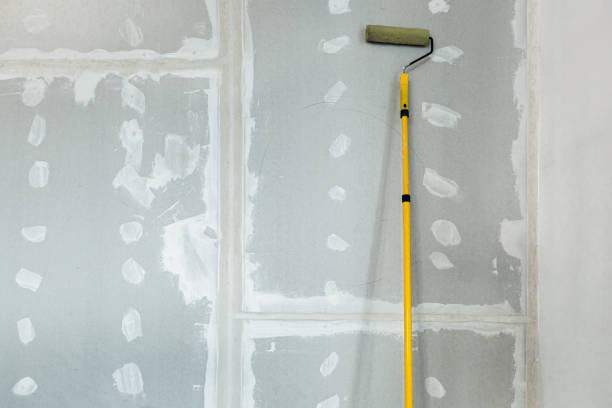 Best Mold Remediation for Rental Properties  in South Zanesville, OH