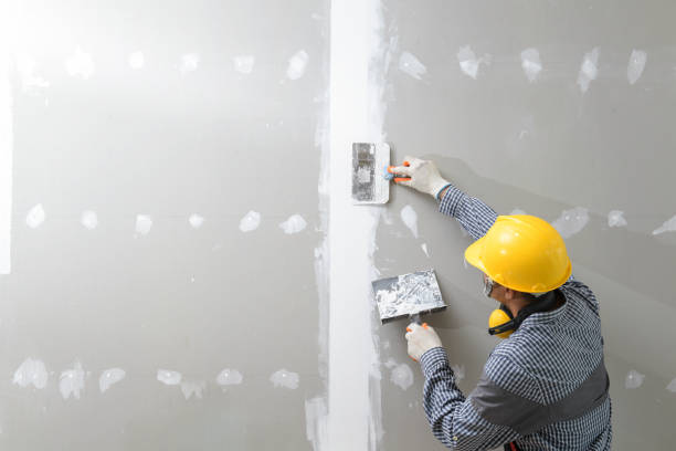 Best Post-Construction Mold Inspection  in South Zanesville, OH