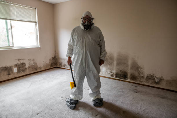 Best Biohazard Mold Removal  in South Zanesville, OH