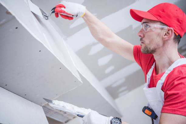 Environmental Consulting for Mold Prevention in South Zanesville, OH